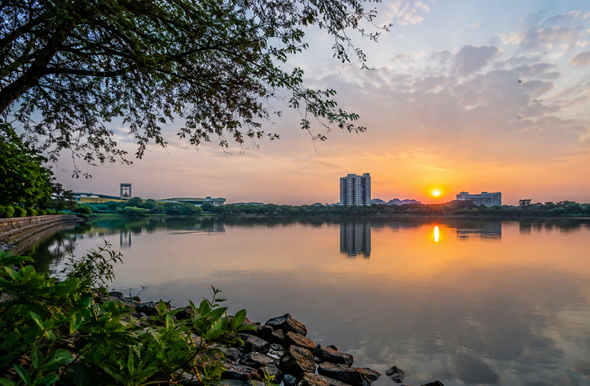 Panoramic view of Ambattur Lake with calm water, lush greenery, and a modern skyline representing career growth and Resume Writing Services Ambattur.