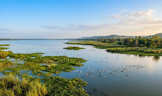 Scenic panoramic view of Kanwar Lake Bird Sanctuary in Begusarai, Bihar, representing Resume Writing Services Begusarai by Bright Future Resume.