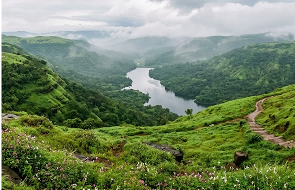 Kaas Plateau near Satara representing Resume Writing Services Satara and professional career growth